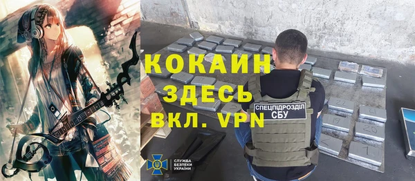шишки Нязепетровск