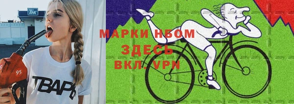 шишки Нязепетровск
