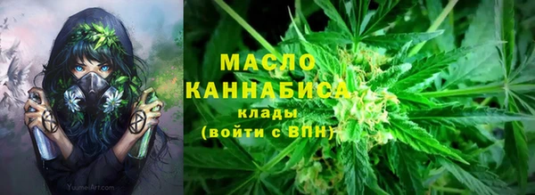 шишки Нязепетровск