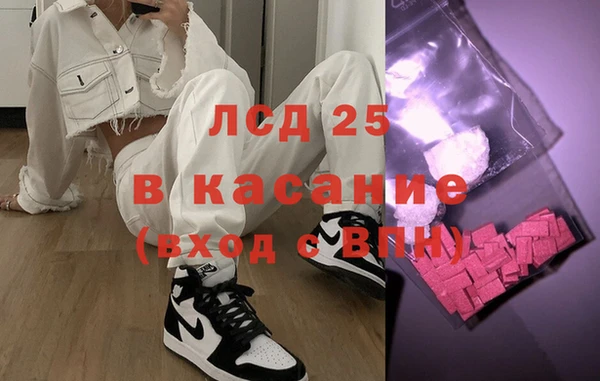 шишки Нязепетровск