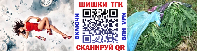 Каннабис сатива  где найти   Нахабино 