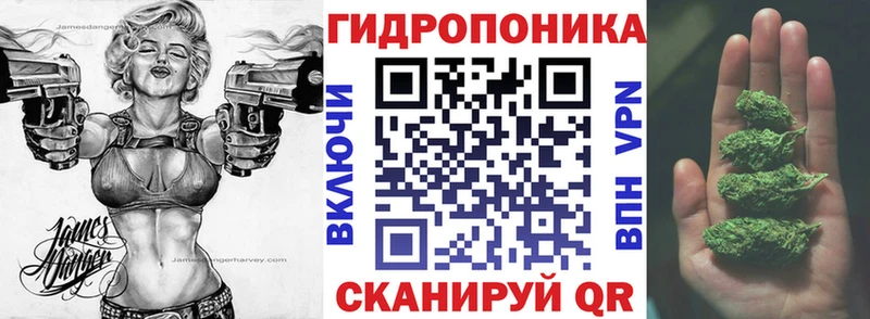 Бошки марихуана ГИДРОПОН Нахабино